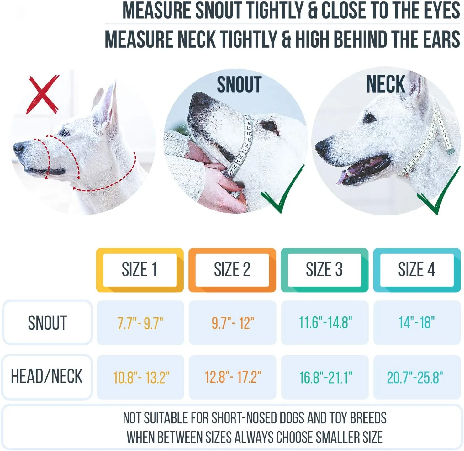 GoodBoy Dog Head Halter with Safety Strap - Stops Heavy Pulling On The Leash - Padded Headcollar for Small Medium and Large Dog Sizes - Head Collar Training Guide Included (Size 2, Blue)