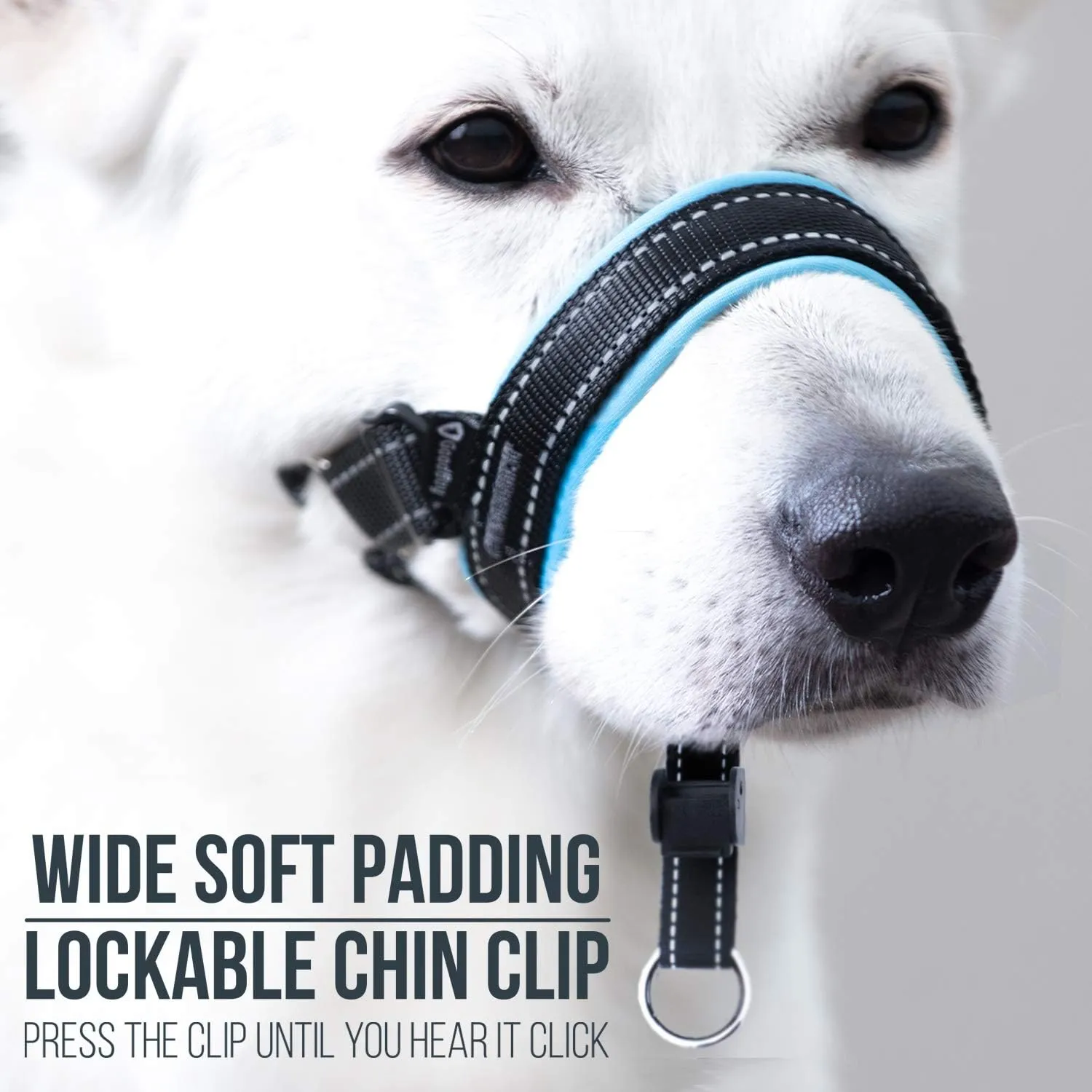 GoodBoy Dog Head Halter with Safety Strap - Stops Heavy Pulling On The Leash - Padded Headcollar for Small Medium and Large Dog Sizes - Head Collar Training Guide Included (Size 2, Blue)