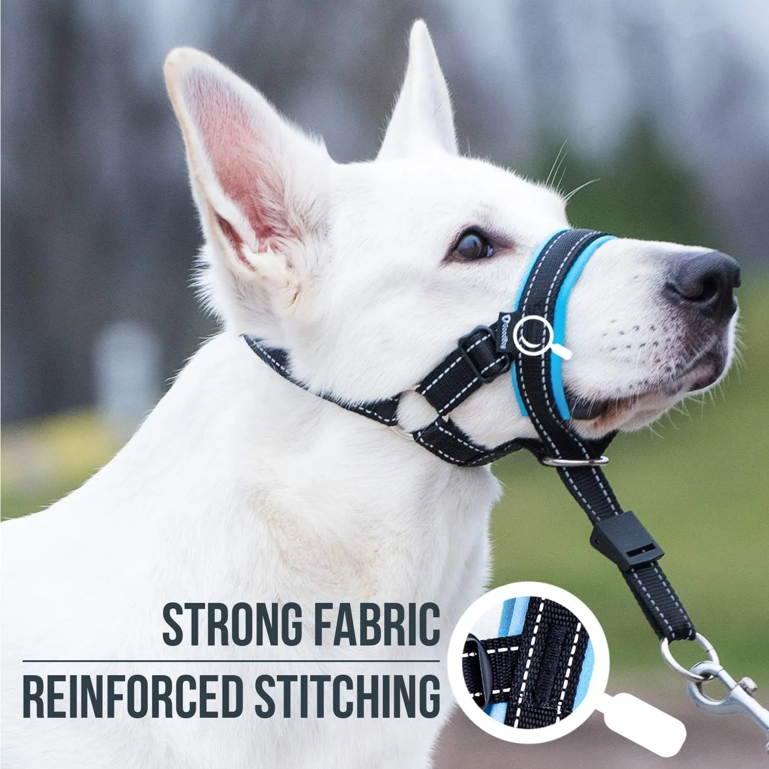 GoodBoy Dog Head Halter with Safety Strap - Stops Heavy Pulling On The Leash - Padded Headcollar for Small Medium and Large Dog Sizes - Head Collar Training Guide Included (Size 2, Blue)