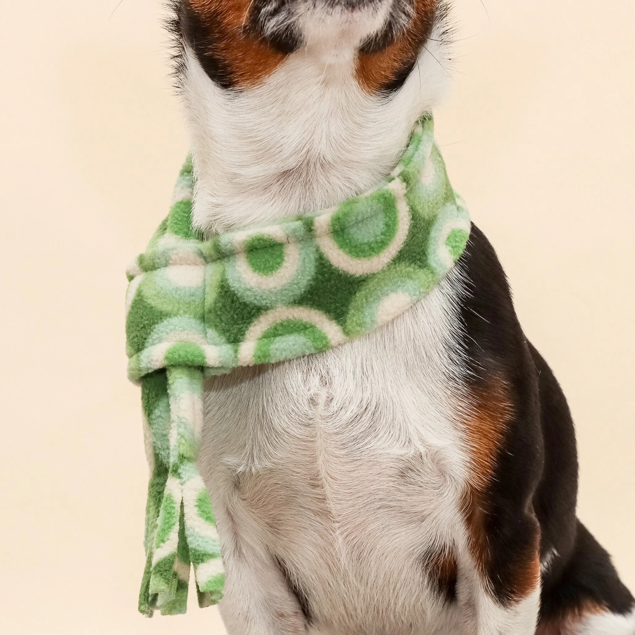 Groovy Green Fleece Pet Scarf
