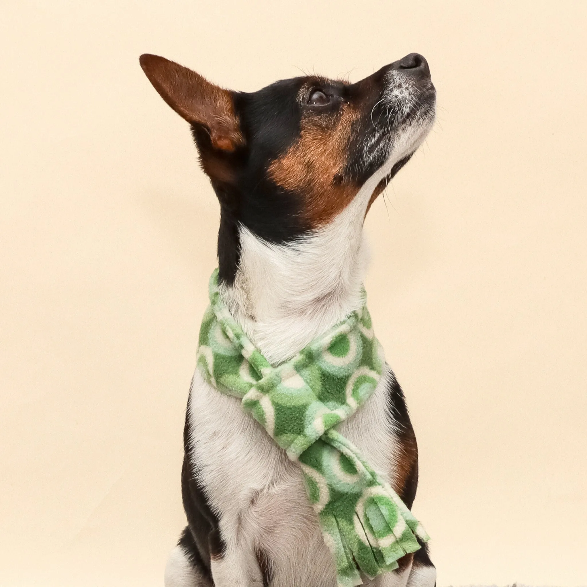 Groovy Green Fleece Pet Scarf