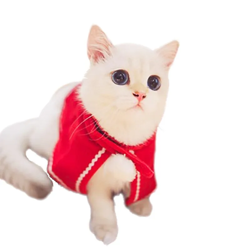 Halloween Cat Suit