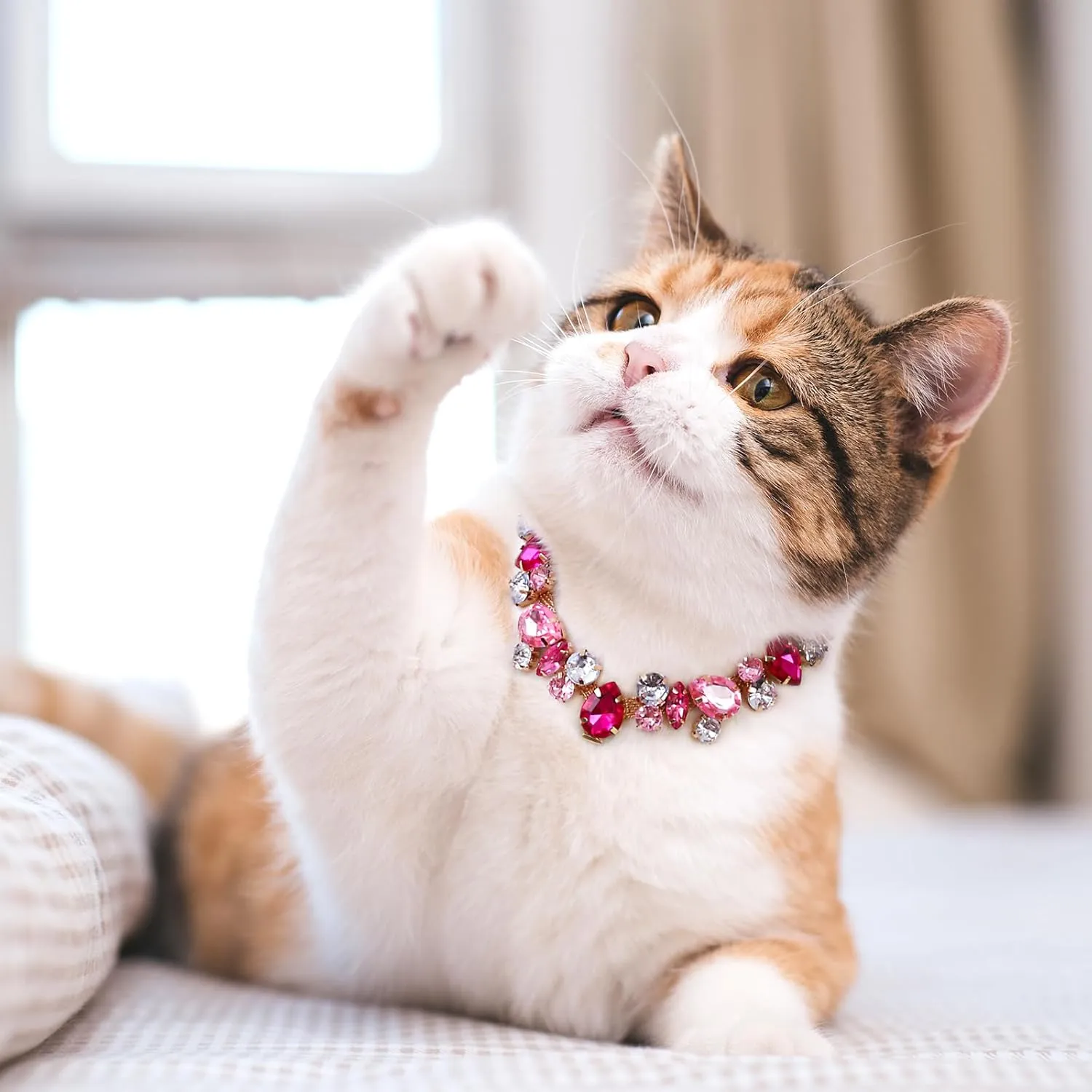 HOWWFALY Dog Collar and Cat Collar Gold Chain Necklace Stainless Steel Adjustable Pink Diamonds Collar with Cute Pet Paw for Small Medium Pets Cats Dogs Kitten Puppy(Pink, S)