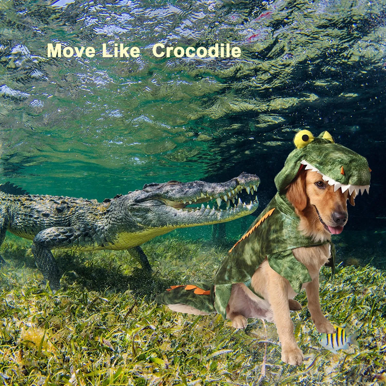 Large Dog Costume Halloween Dog Crocodile Costume Pets Winter Warm Coat Jumpsuits(M, Green)