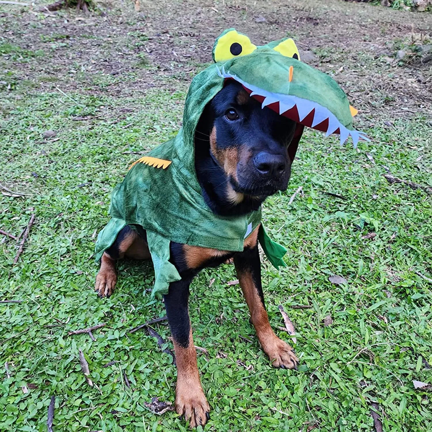 Large Dog Costume Halloween Dog Crocodile Costume Pets Winter Warm Coat Jumpsuits(M, Green)