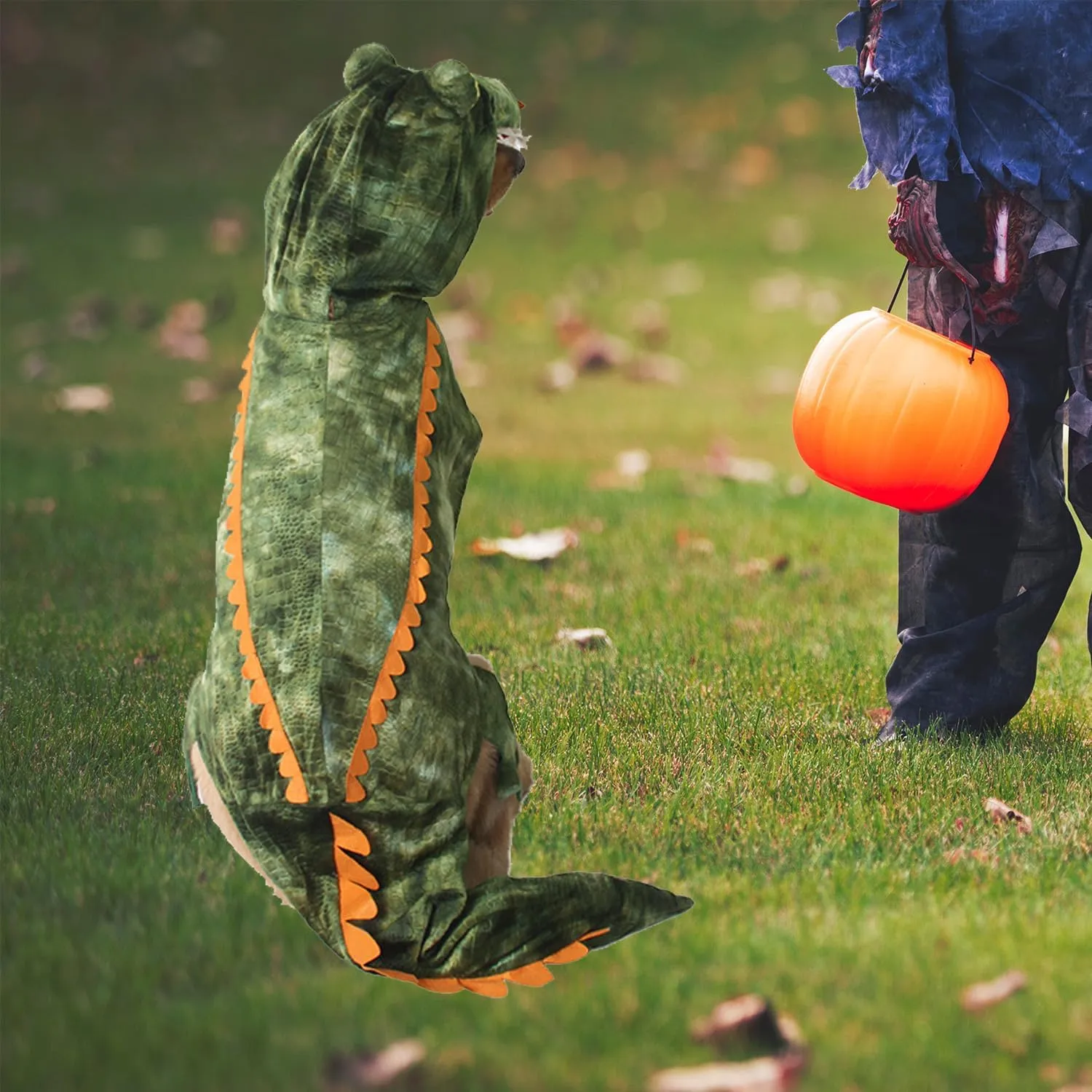 Large Dog Costume Halloween Dog Crocodile Costume Pets Winter Warm Coat Jumpsuits(M, Green)