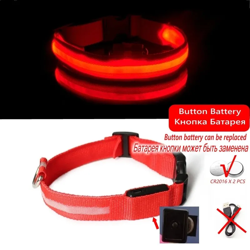 Led Dog Collar