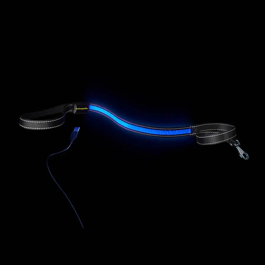 Loomo Moonshine LED Dog Lead Blue