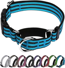 Martingale Dog Collar, Adjustable Nylon Reflective Collar with Buckle No Pull Dog Collar for Small Medium Large Dogs (Blue M)