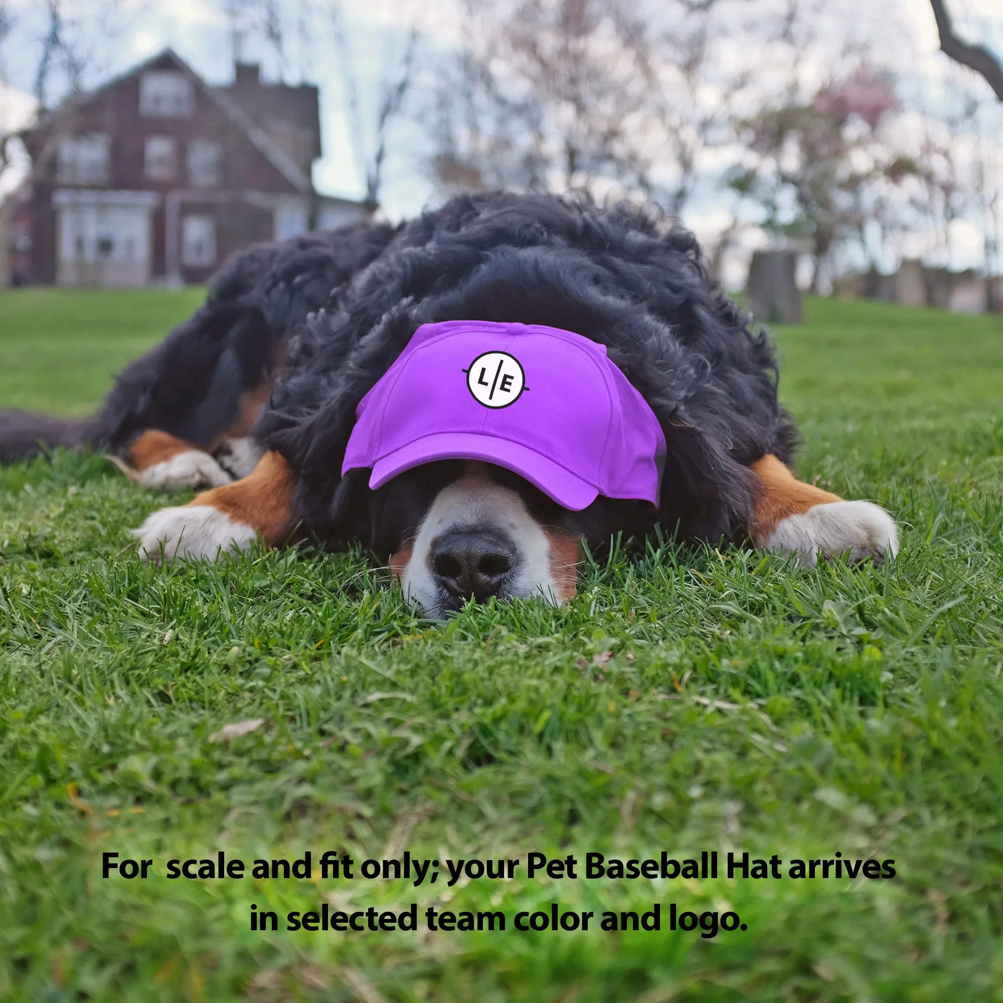 Minnesota Vikings Pet Baseball Hat