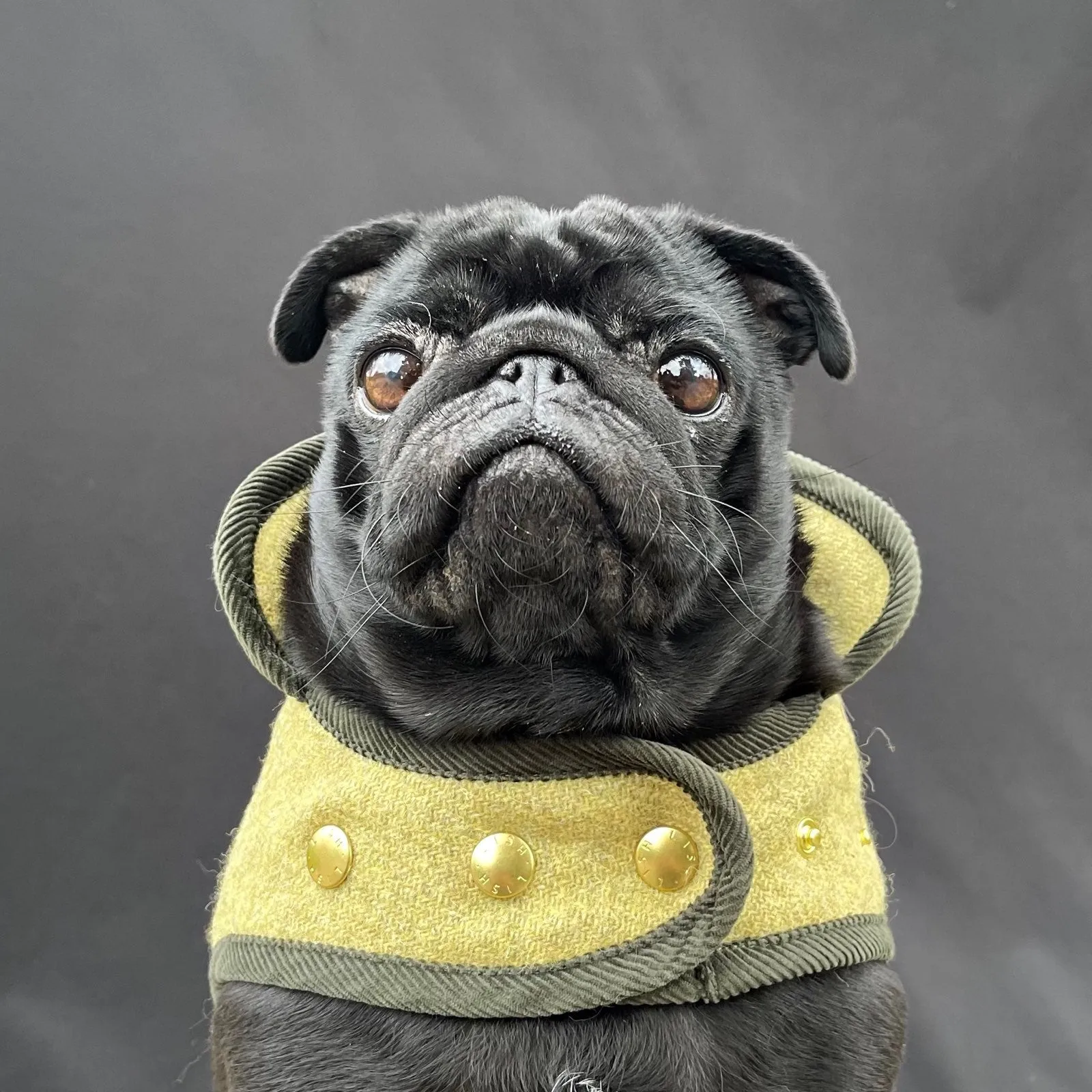 Morris Fern Green Harris Tweed Dog Coat