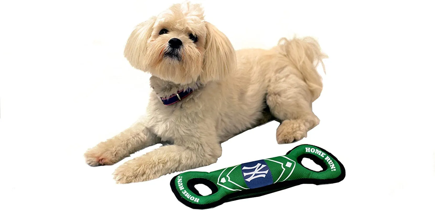 New York Yankees Baseball Dog Toy