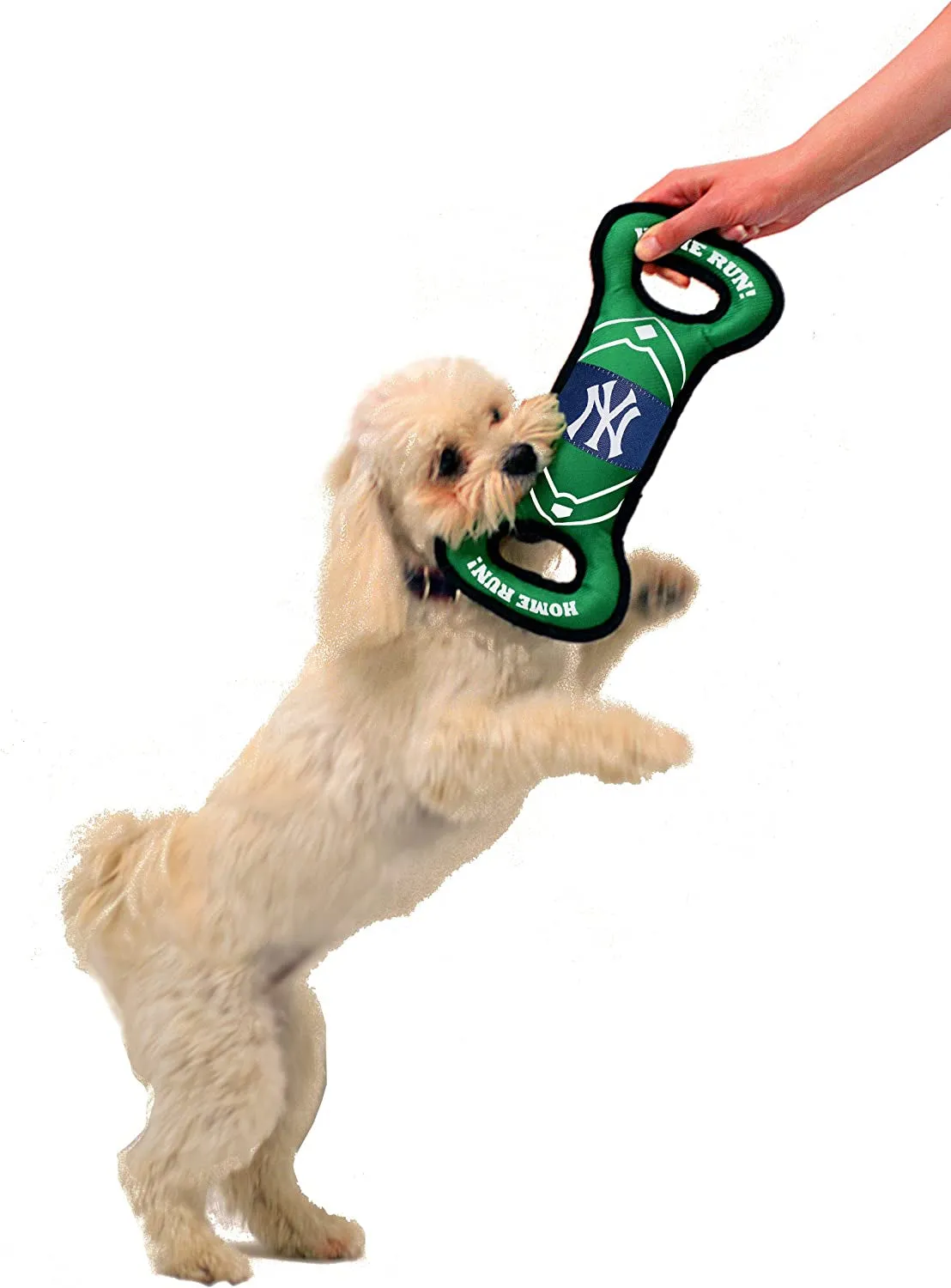 New York Yankees Baseball Dog Toy