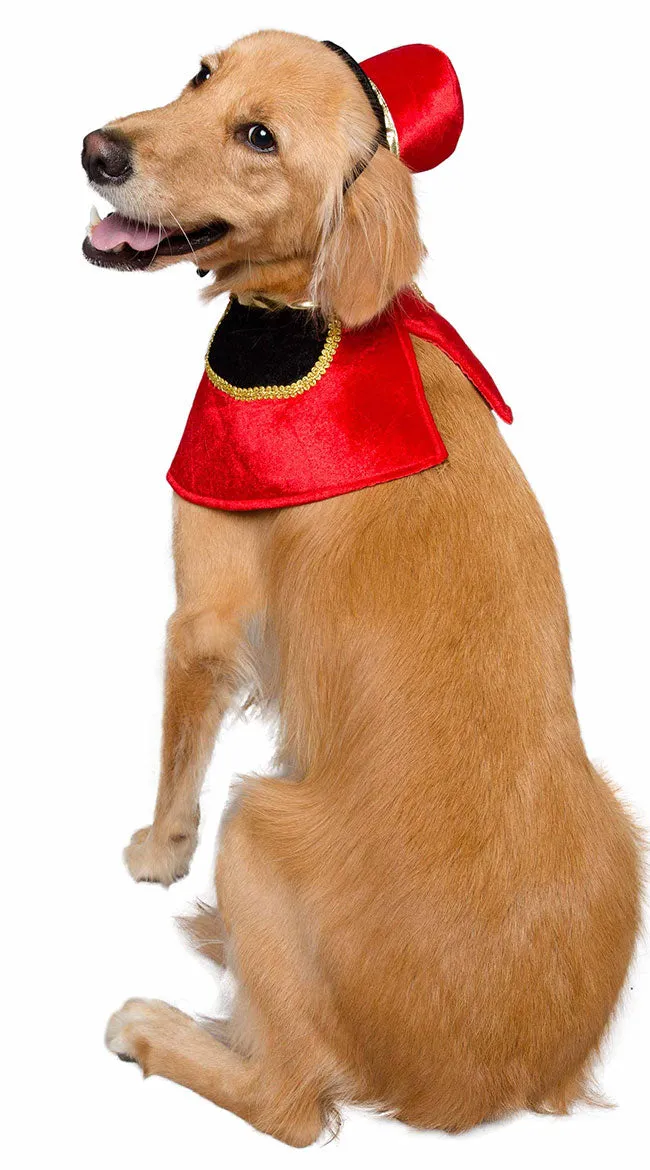 Nutcracker Soldier Pet Costume