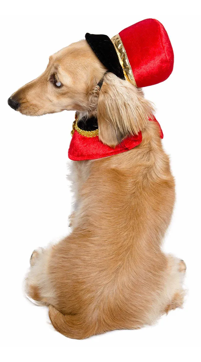 Nutcracker Soldier Pet Costume