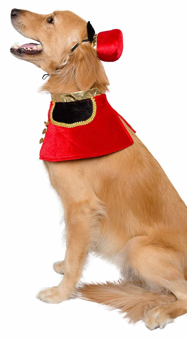 Nutcracker Soldier Pet Costume