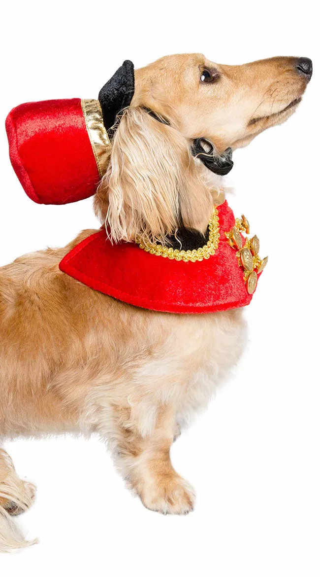 Nutcracker Soldier Pet Costume