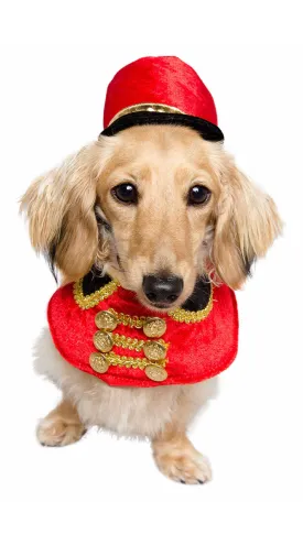 Nutcracker Soldier Pet Costume