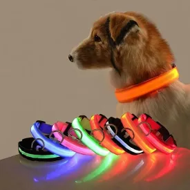 Nylon LED Dog Collar