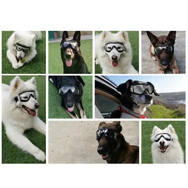 Pat and Pet Emporium | Pet Sunglasses | UV Plastic Goggles