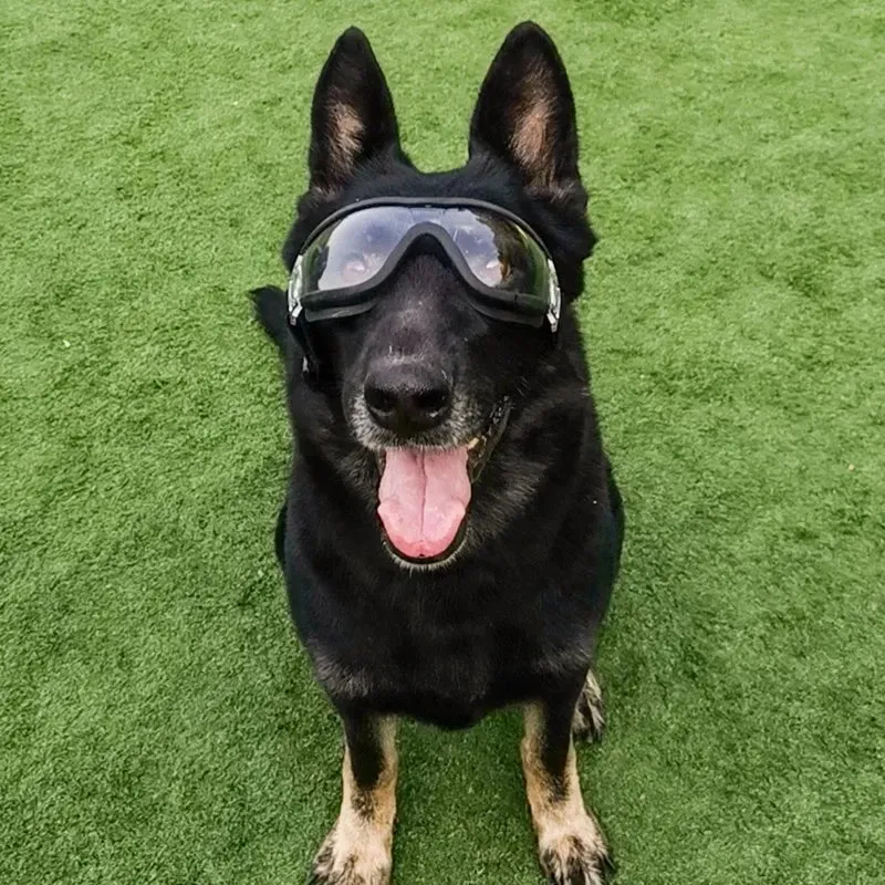 Pat and Pet Emporium | Pet Sunglasses | UV Plastic Goggles