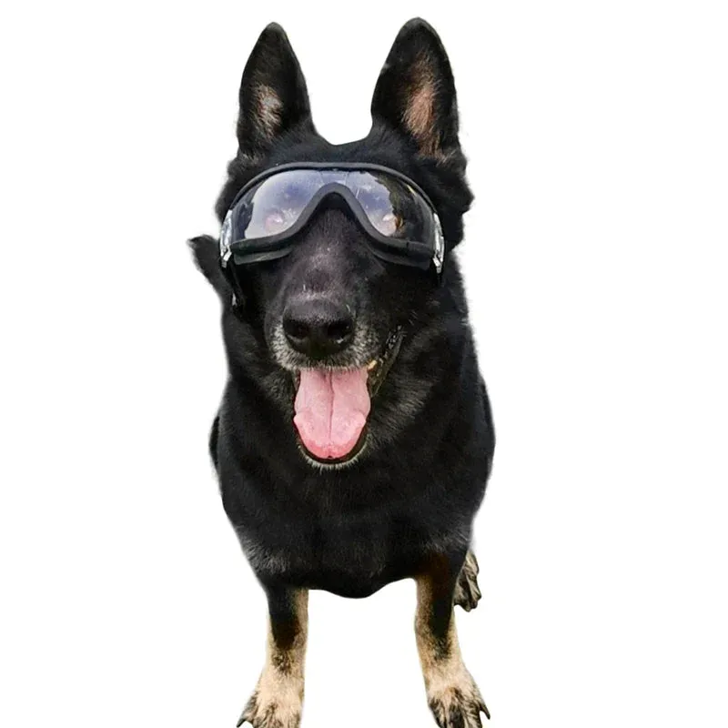 Pat and Pet Emporium | Pet Sunglasses | UV Plastic Goggles