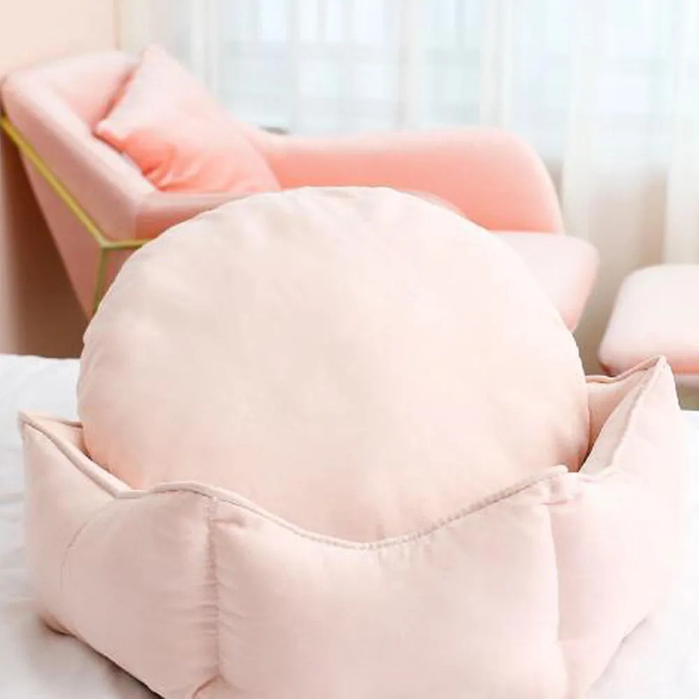 PAWS ASIA Wholesale Best Sell Eco Friendly Comfortable Couch Princess Dog Bed Cat