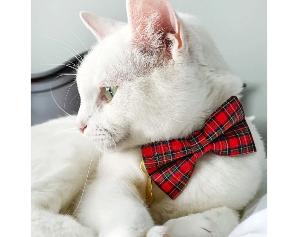 Pet Bow Tie - "Hearthside" - Classic Red Tartan Plaid - Fall / Christmas / Winter - Detachable Bowtie for Cats   Dogs