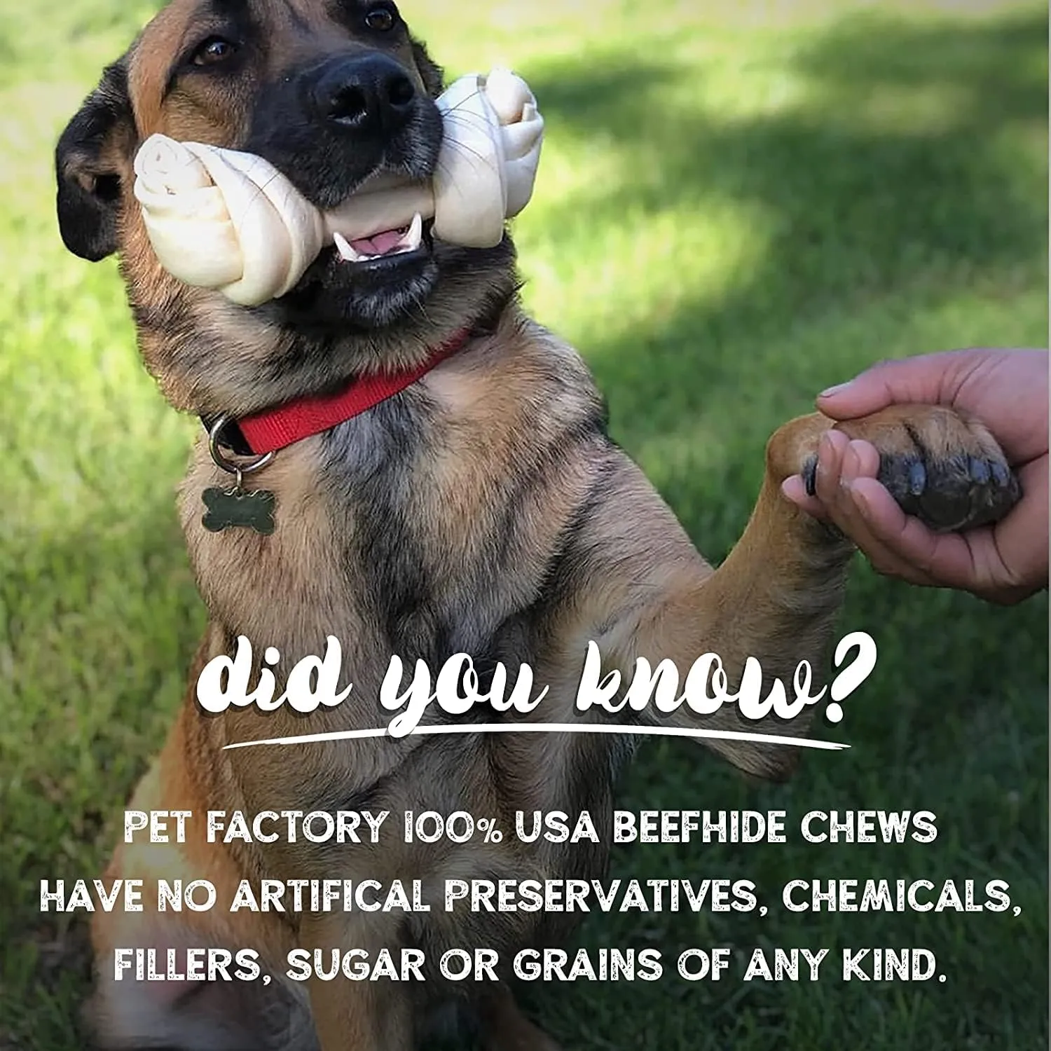 Pet Factory 100% Made in USA Beefhide 7" Braided Sticks Dog Chew Treats - Peanut Butter Flavor, 6 Count/1 Pack