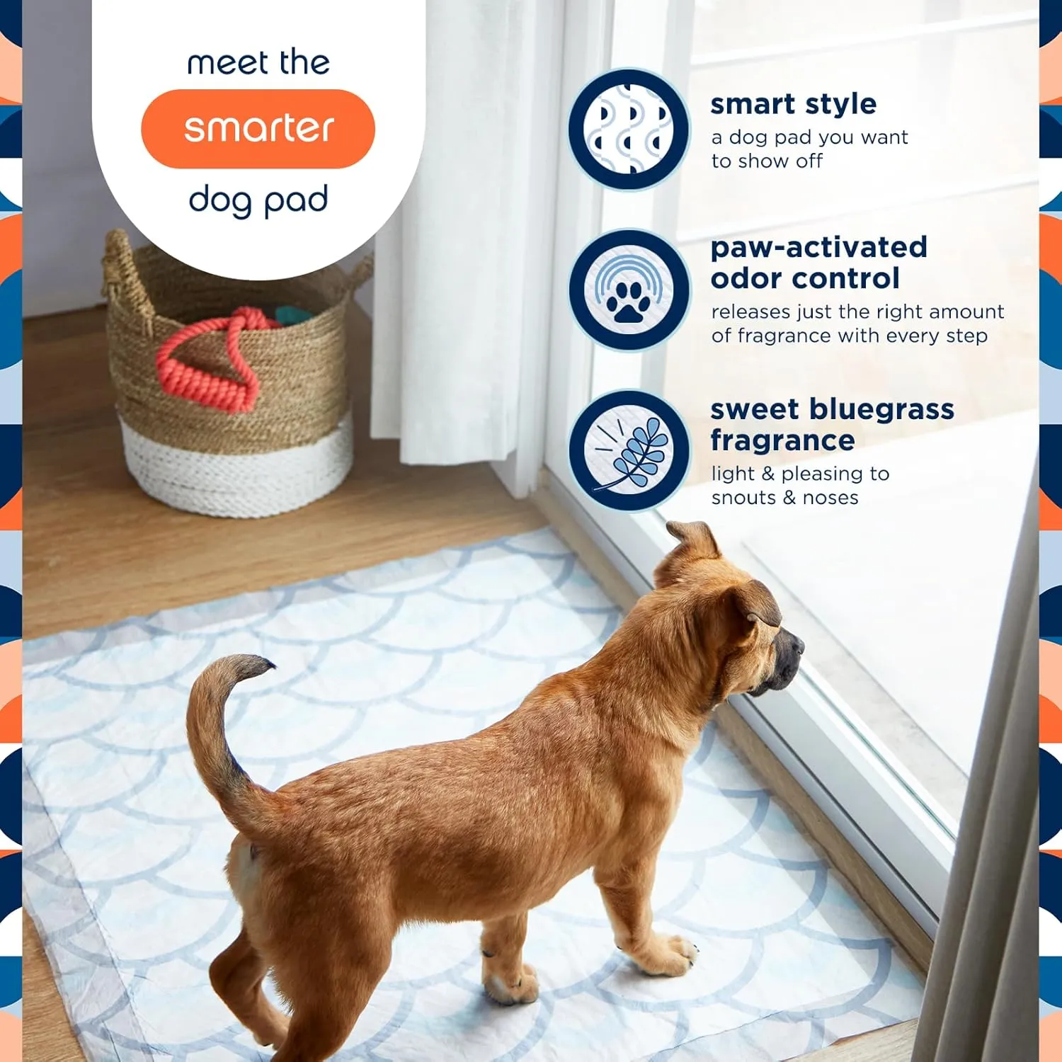 Pet Life Unlimited Smart Prints Extra Large Puppy Pads - Odor Controlling Dog Pee Pads with Wetness-Activated Scent - USA Made - 30" x 36" - 60 Count (XXL)