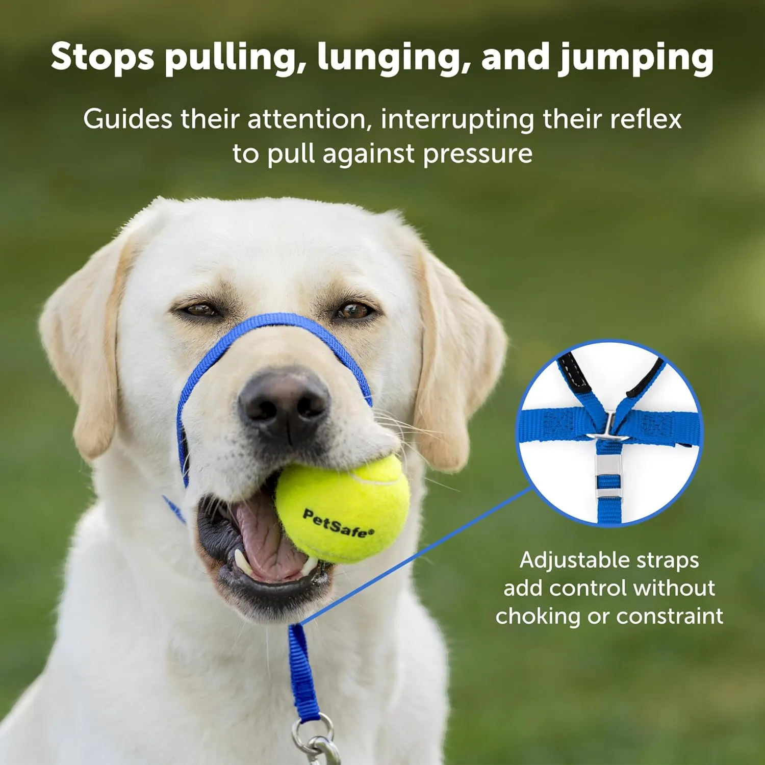PetSafe Gentle Leader No-Pull Dog Headcollar - The Ultimate Solution to Pulling - Redirects Your Dog's Pulling for Easier Walks - Helps You Regain Control - Medium, Deep Purple