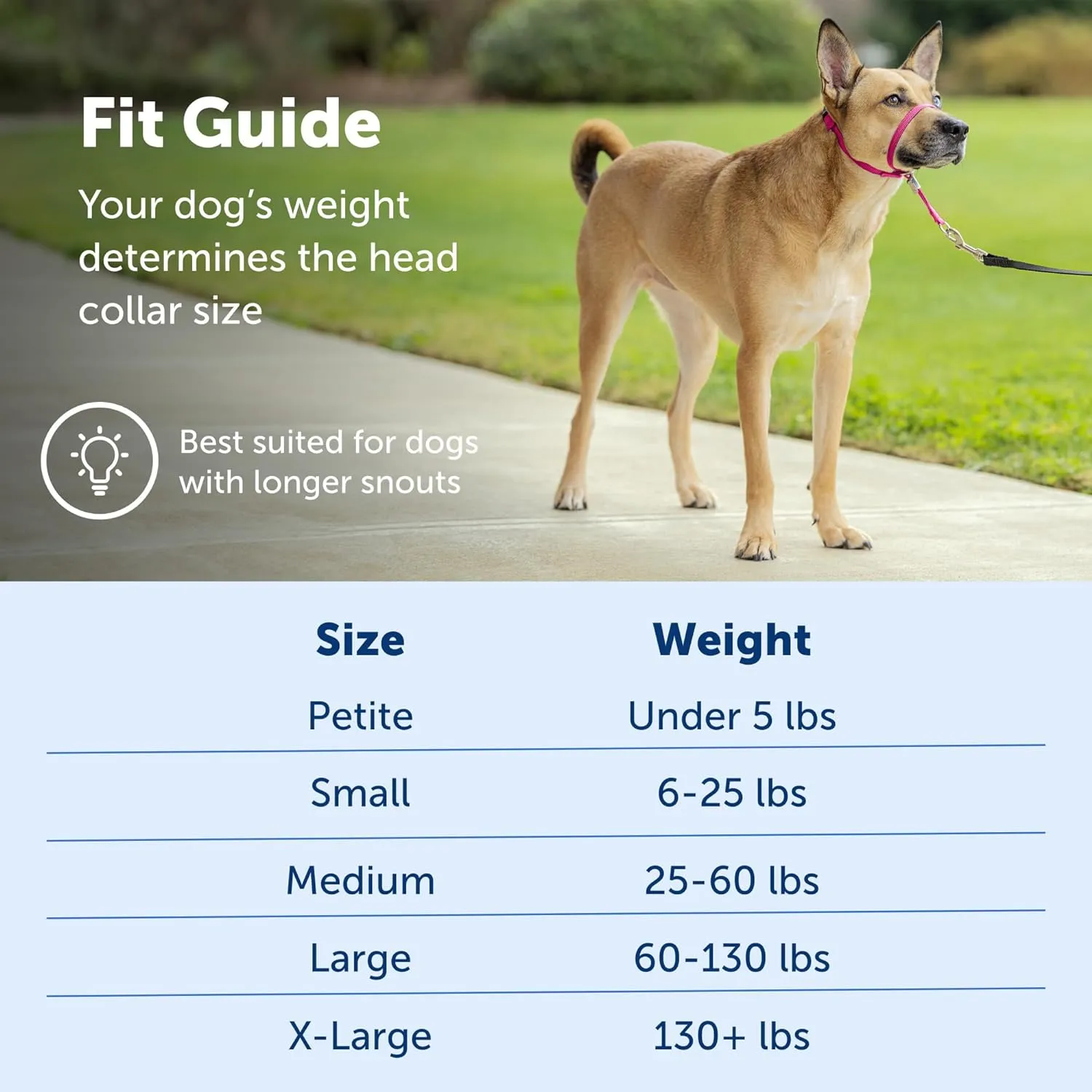 PetSafe Gentle Leader No-Pull Dog Headcollar - The Ultimate Solution to Pulling - Redirects Your Dog's Pulling for Easier Walks - Helps You Regain Control - Medium, Deep Purple