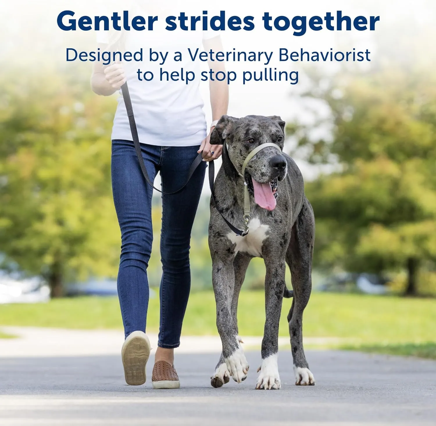 PetSafe Gentle Leader No-Pull Dog Headcollar - The Ultimate Solution to Pulling - Redirects Your Dog's Pulling for Easier Walks - Helps You Regain Control - Medium, Deep Purple