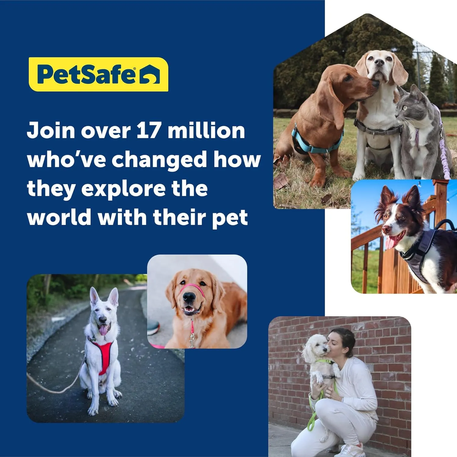 PetSafe Gentle Leader No-Pull Dog Headcollar - The Ultimate Solution to Pulling - Redirects Your Dog's Pulling for Easier Walks - Helps You Regain Control - Medium, Deep Purple