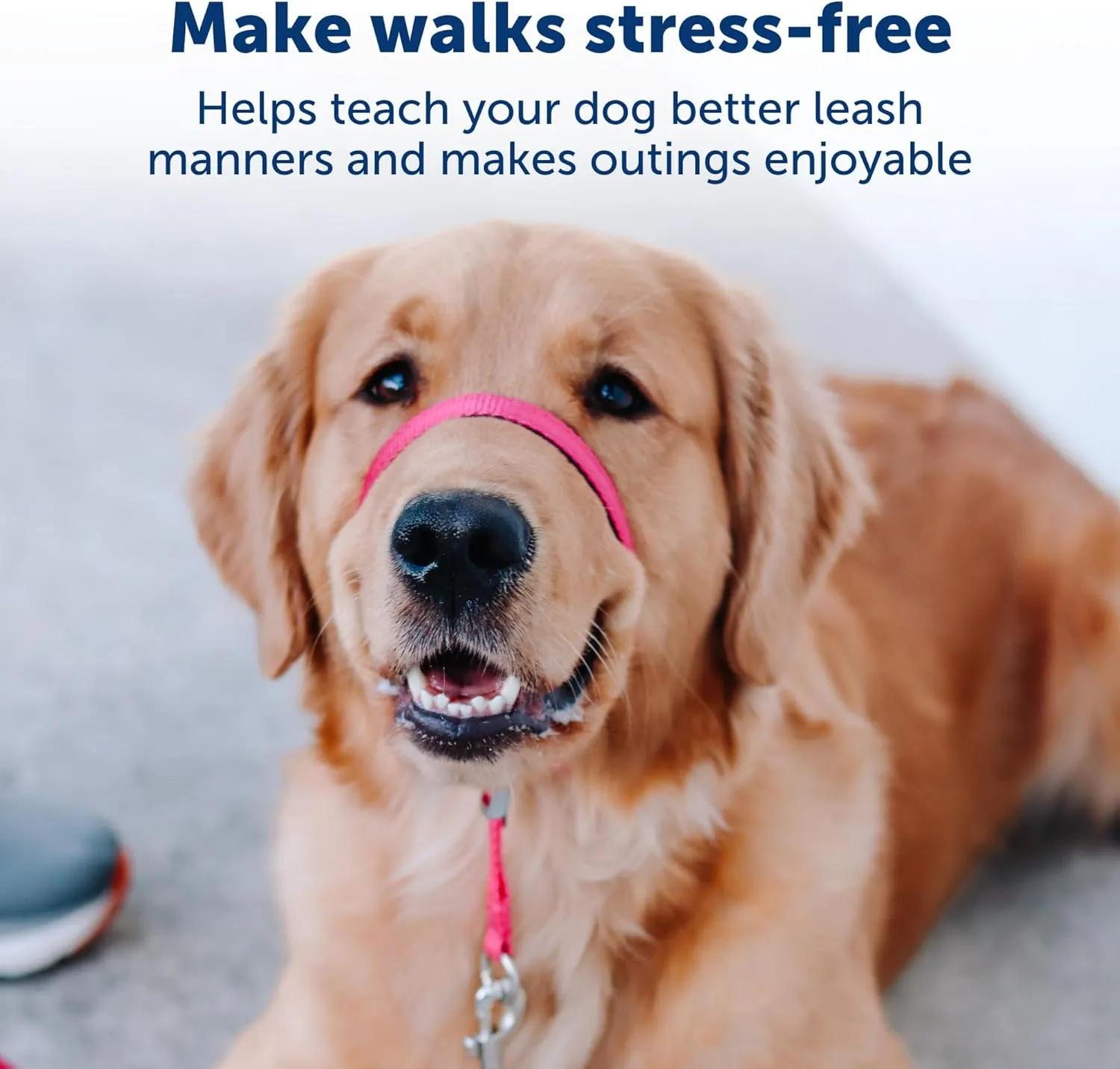 PetSafe Gentle Leader No-Pull Dog Headcollar - The Ultimate Solution to Pulling - Redirects Your Dog's Pulling for Easier Walks - Helps You Regain Control - Medium, Deep Purple
