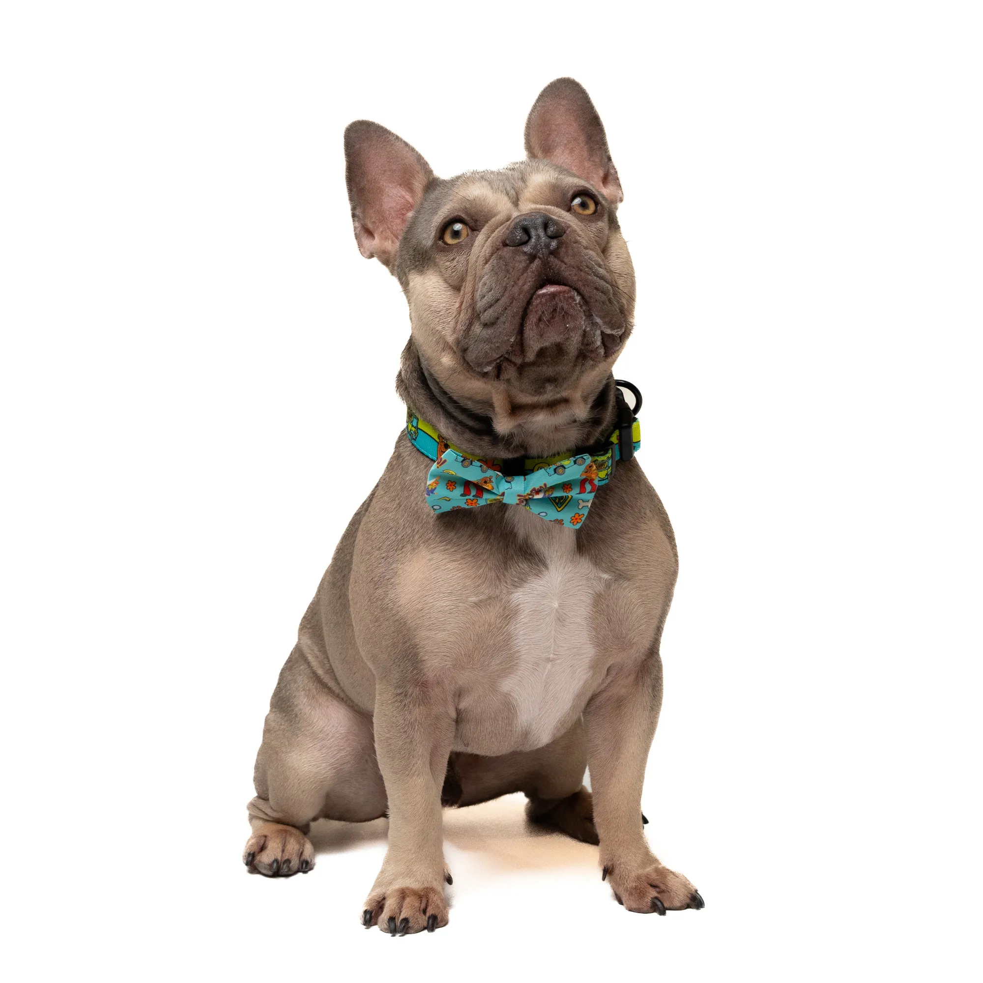Petverse Scooby-Doo Pet Bowtie