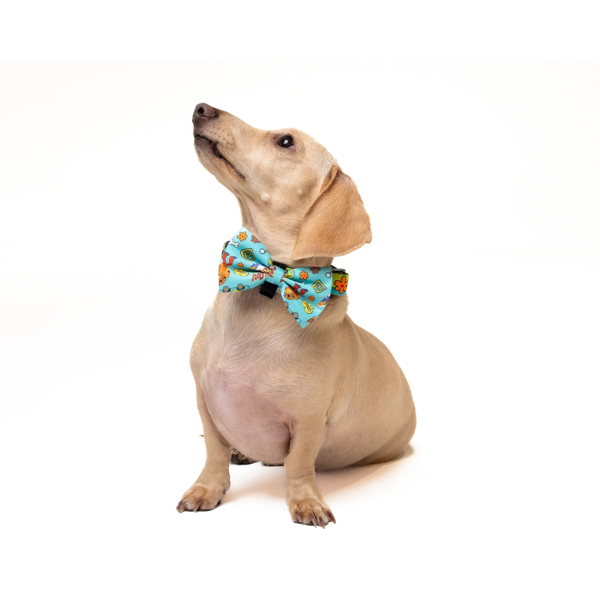 Petverse Scooby-Doo Pet Bowtie