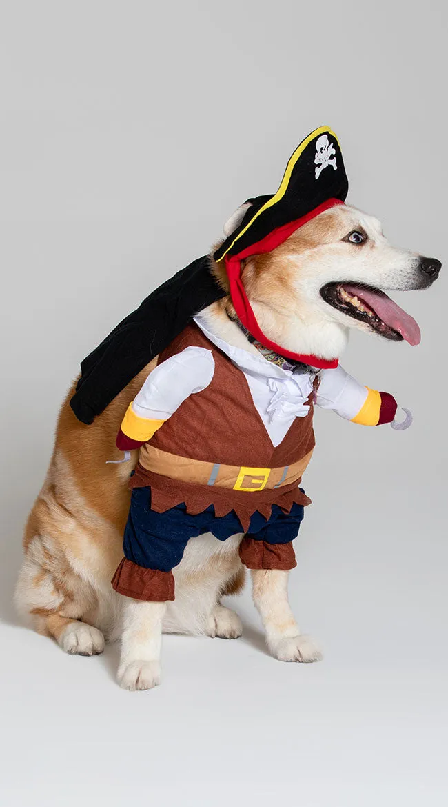 Pirate Pet Costume
