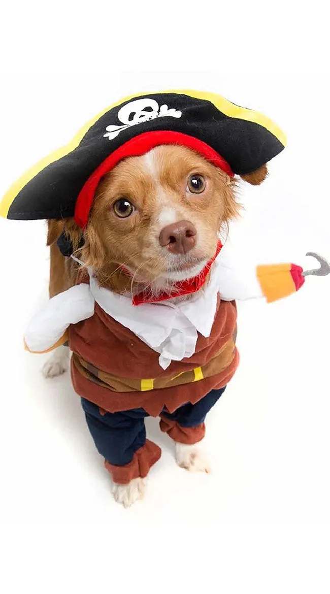 Pirate Pet Costume