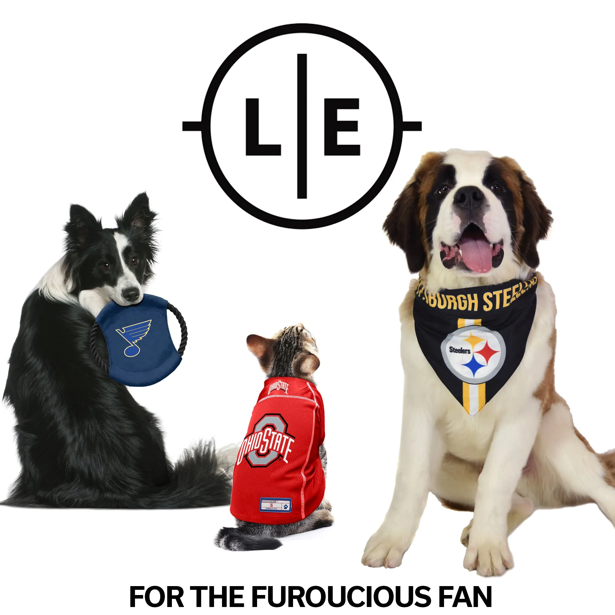 Pittsburgh Penguins Team Flying Disc Pet Toy