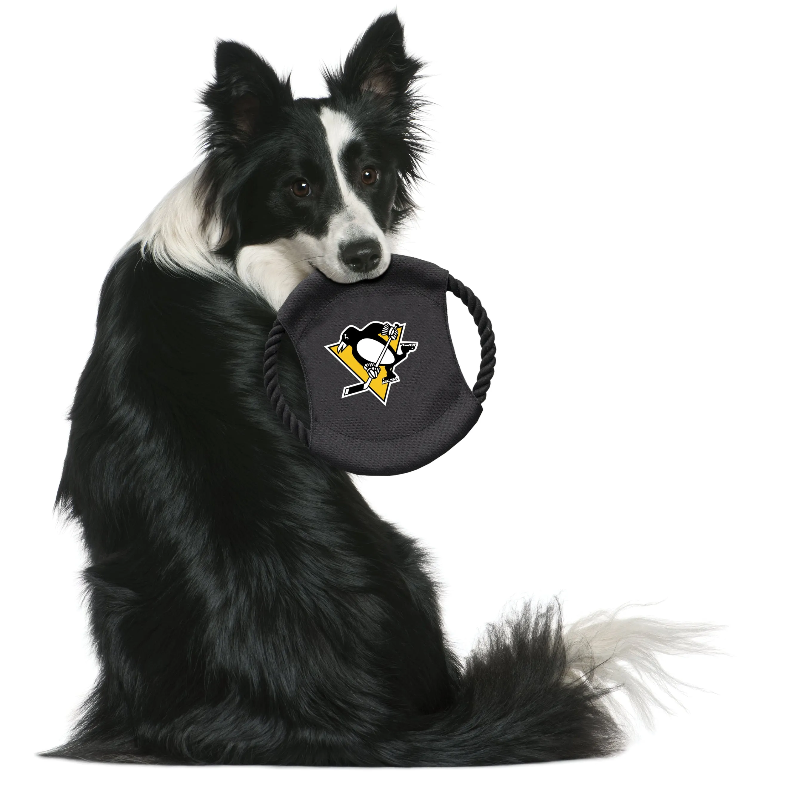 Pittsburgh Penguins Team Flying Disc Pet Toy