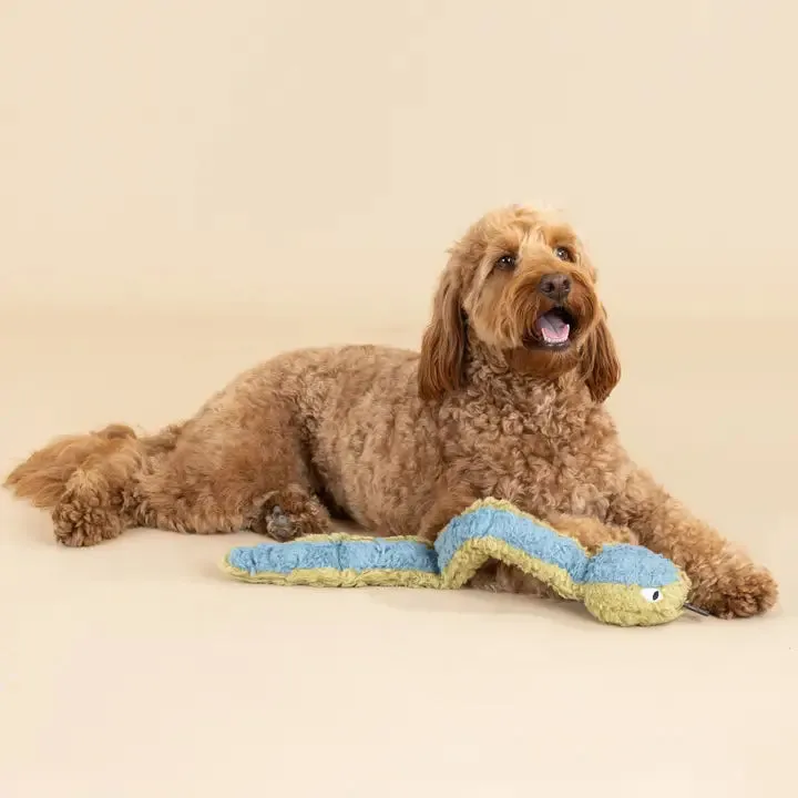 Recycled Snake Dog Toy