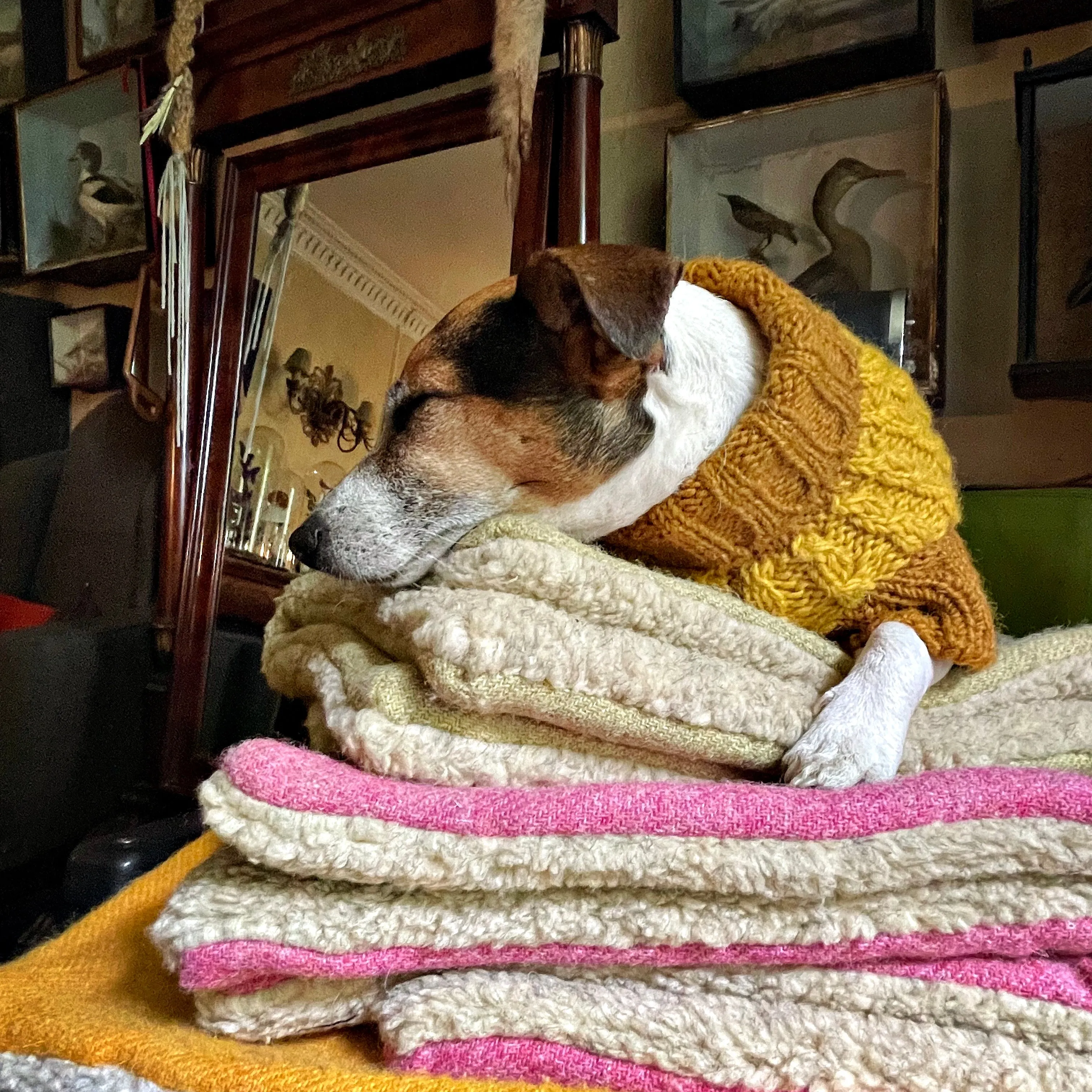 Rose Pink Harris Tweed Luxury Designer Dog Blanket