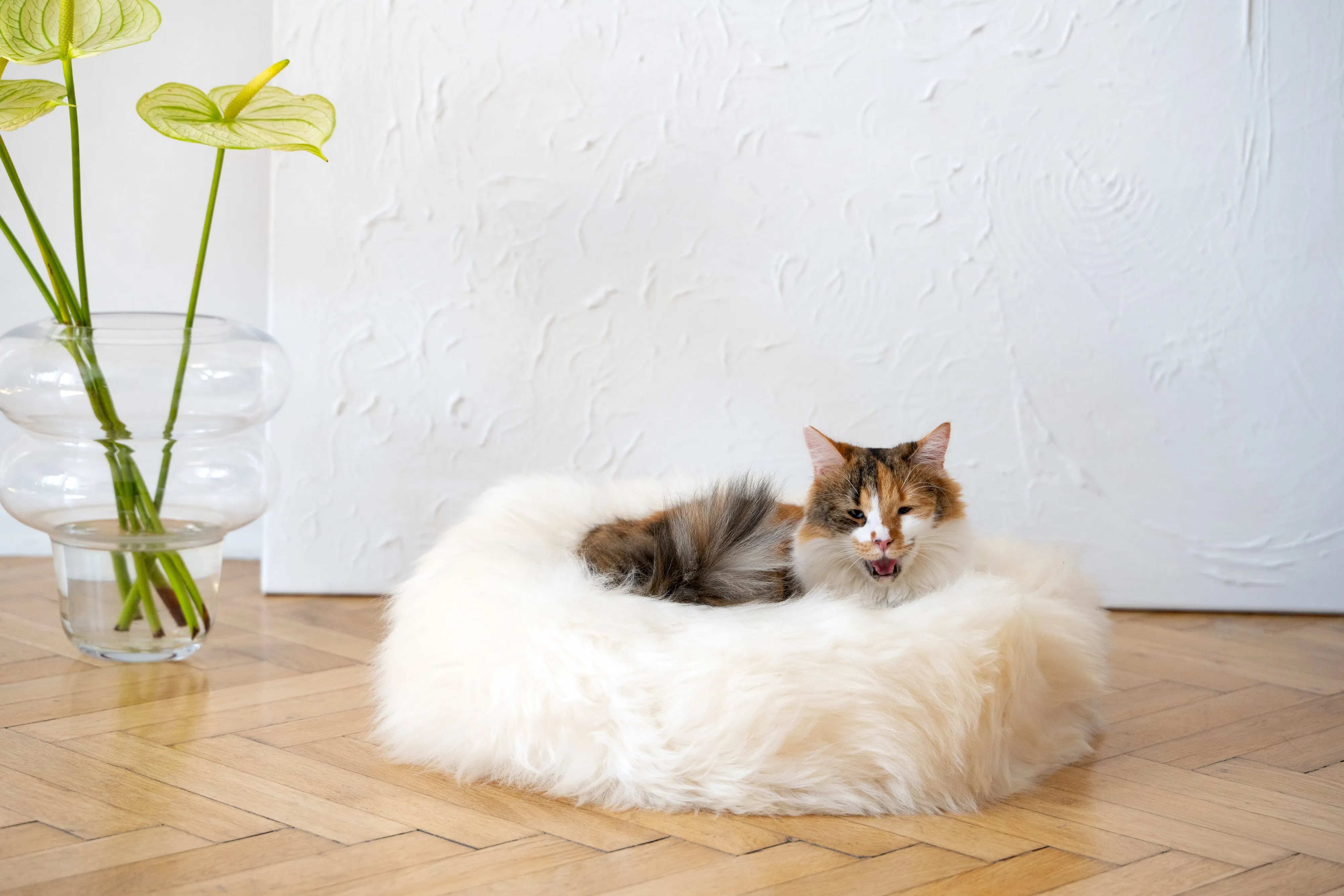 Round Natural Sheepskin Pet Bed - White