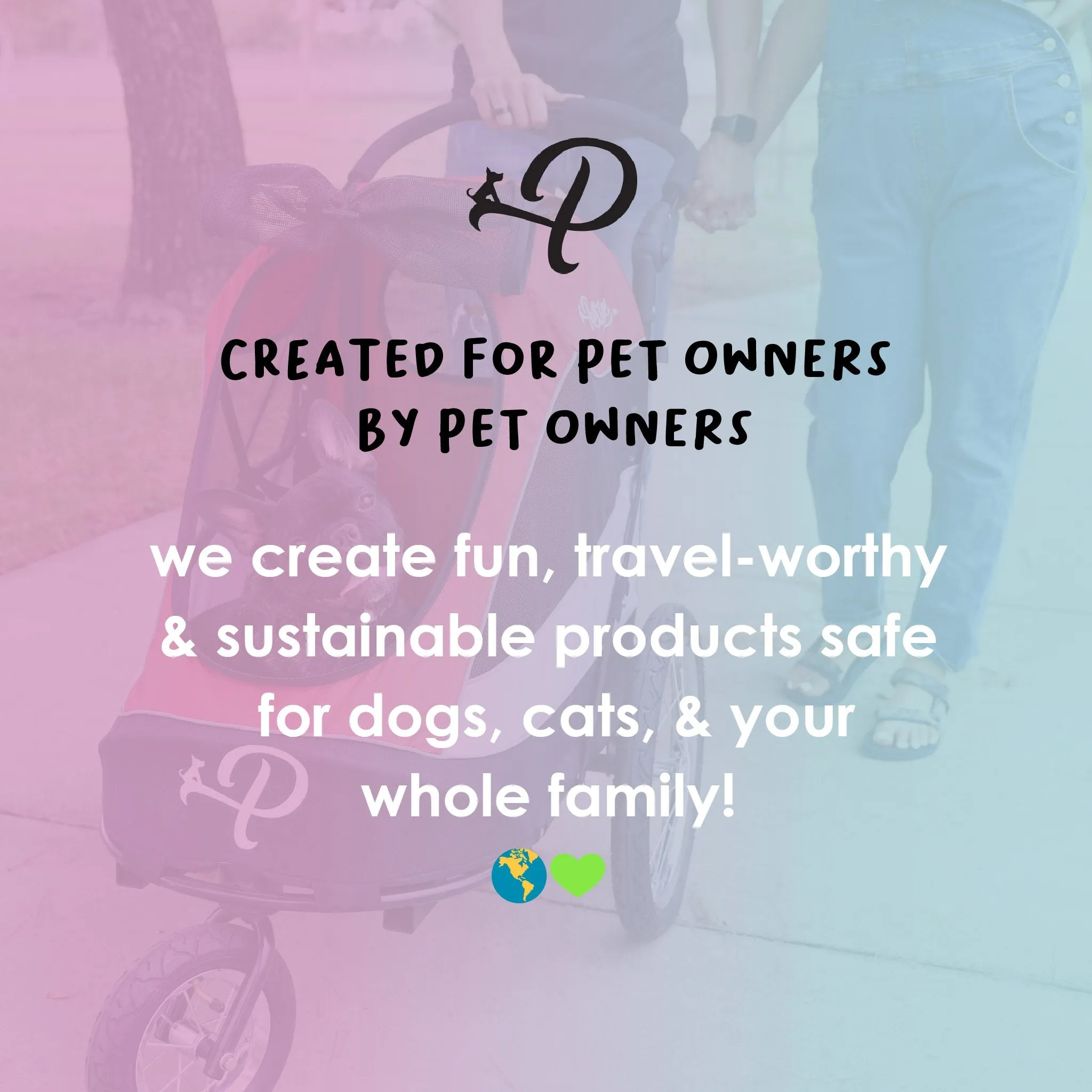 Rover Pet Carrier