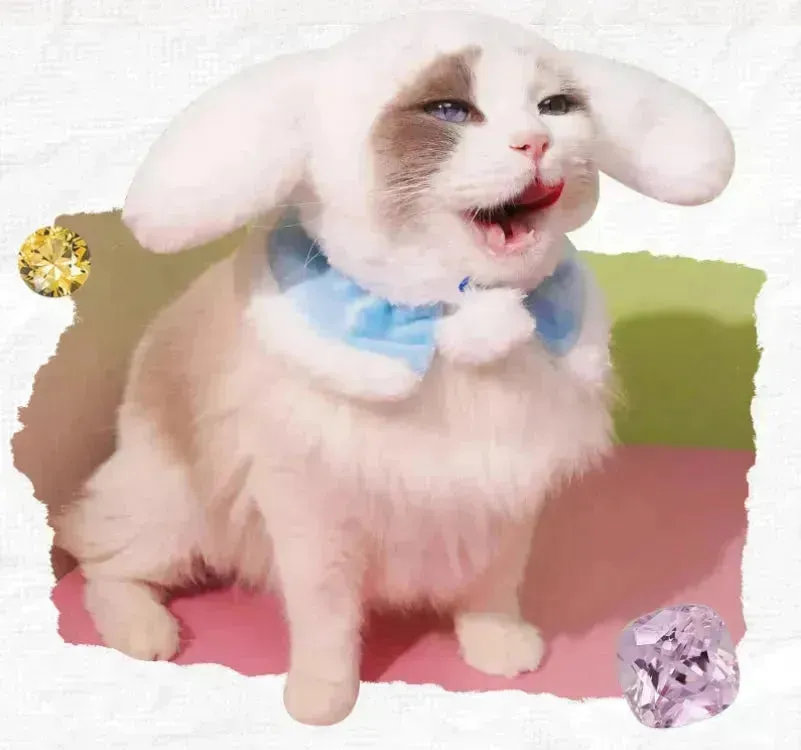Sanrio Fluffy Cat Hat For Pets