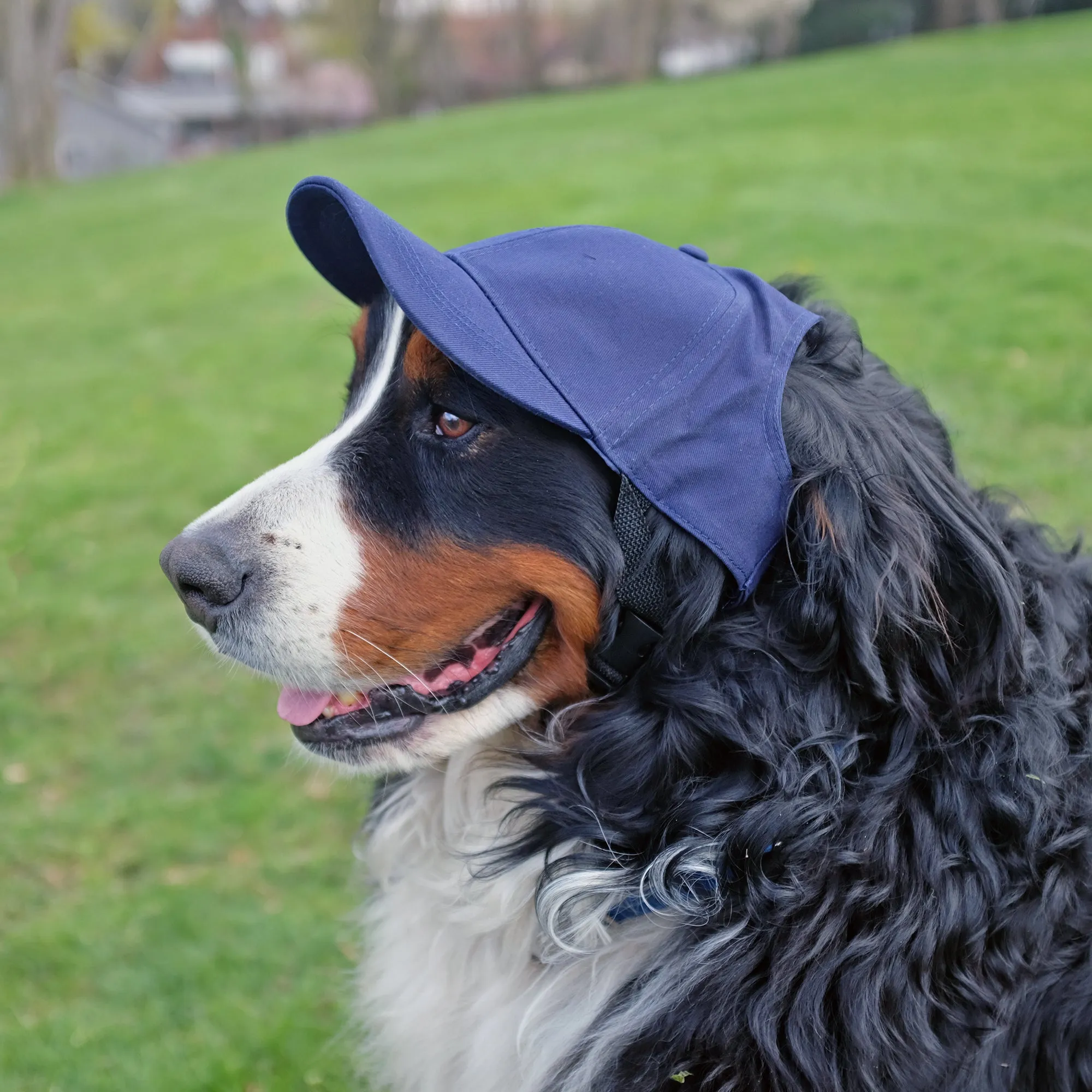 Seattle Kraken Pet Baseball Hat
