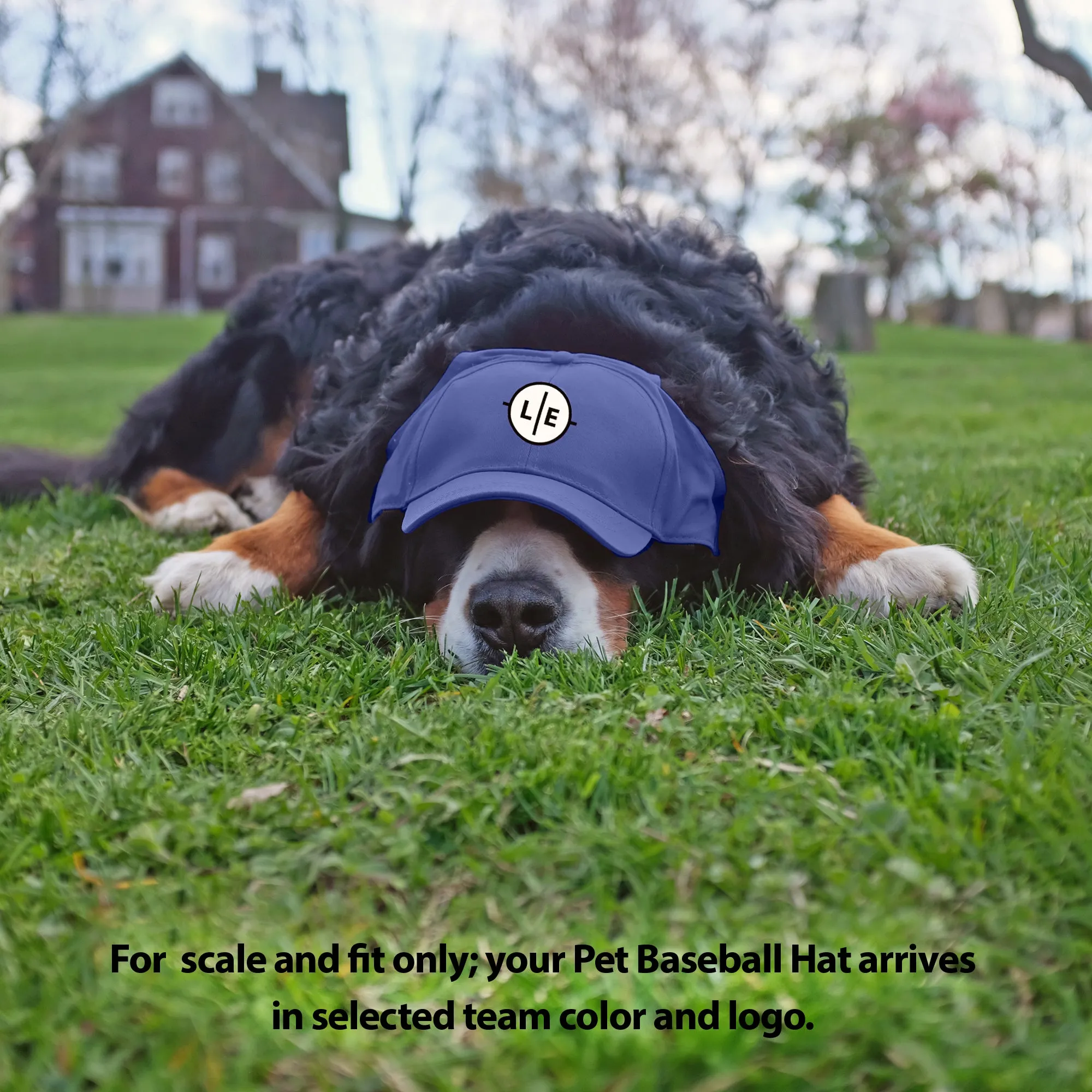 Seattle Kraken Pet Baseball Hat