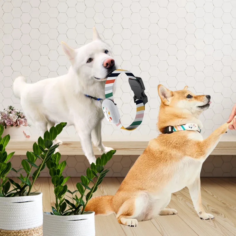 Smart Pet Collar