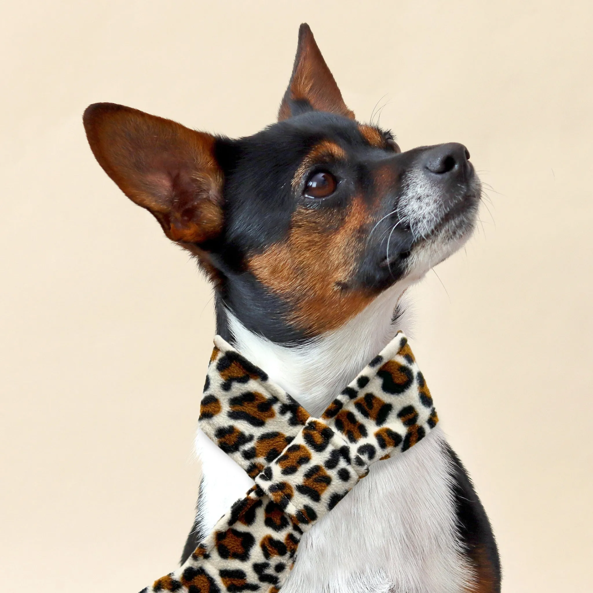 Snow Leopard Fleece Pet Scarf